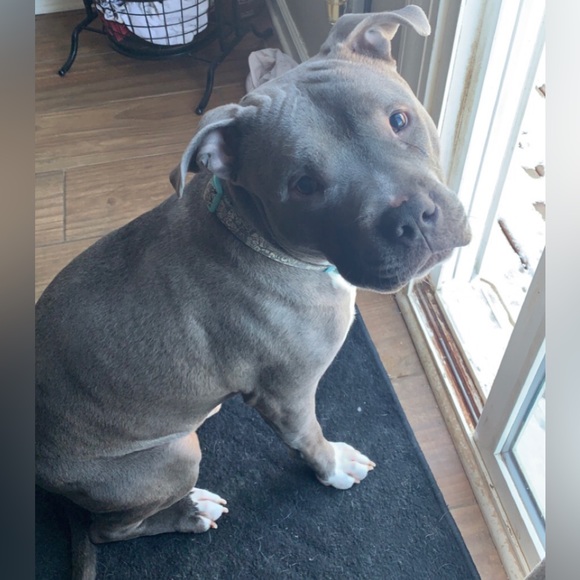 Meet your Posher, Debbie - Picture 3 of 6